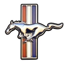This Page Is For All Die Hard Mustang Enthusiasts. Follow Me and I'll Follow Back. Let's Bring The Mustang Community Together One Person At A Time! #FordMustang