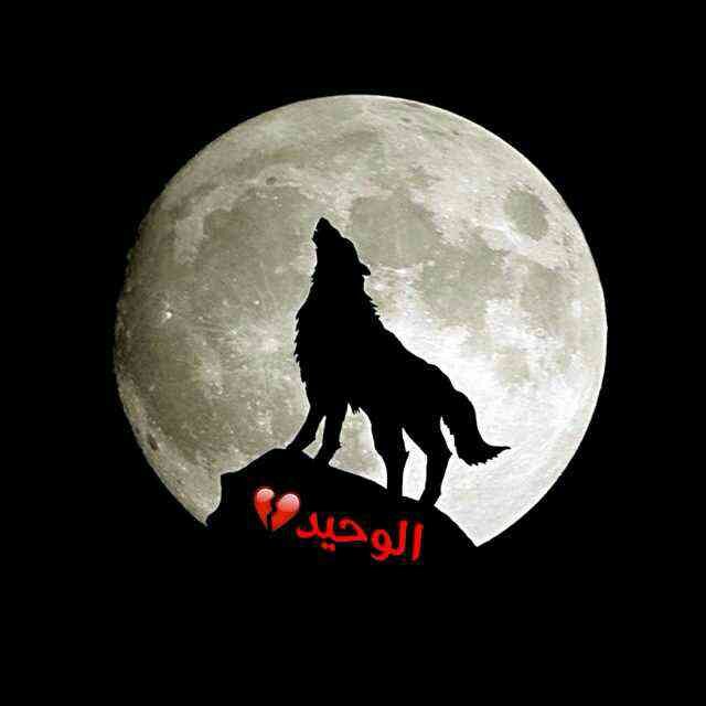 يا رب لي في رجاك ,,,, اربع اماني ,,,, رضاك ,, و الستر و الغفران ,, و الجنه