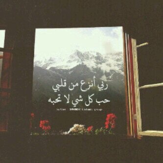 آستغفرآللہ بعدد ذنوبي حتى تغفر ♥♥!