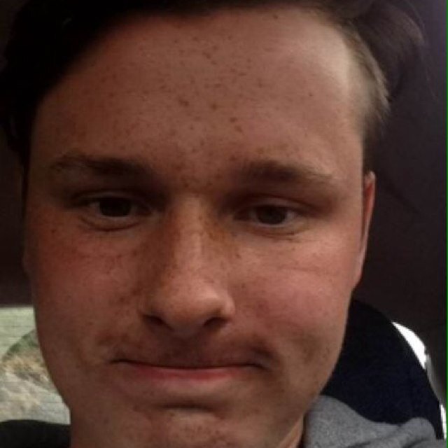 FudgeyMorrison Profile Picture
