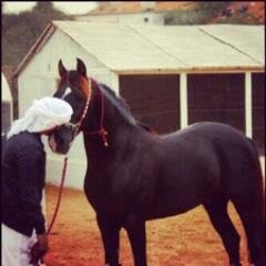 reemr5203's profile picture. 