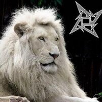 ORLANDO LEÓN (@orleonleon) 's Twitter Profile