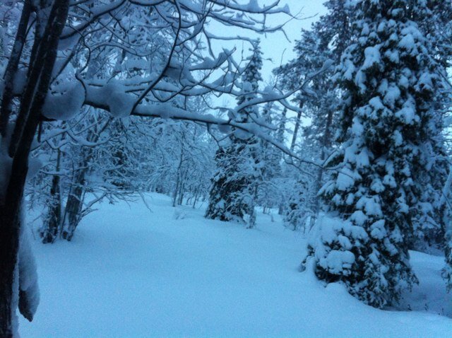 Henkel2407's profile picture. 