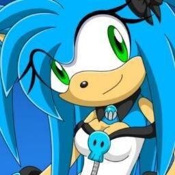 Hey, im sonica the hedgehog! sister of sonic the hedgehog my sis is @DeathHedgehog_ all other sonica accounts are FAKE! #Sega #SonicTeam