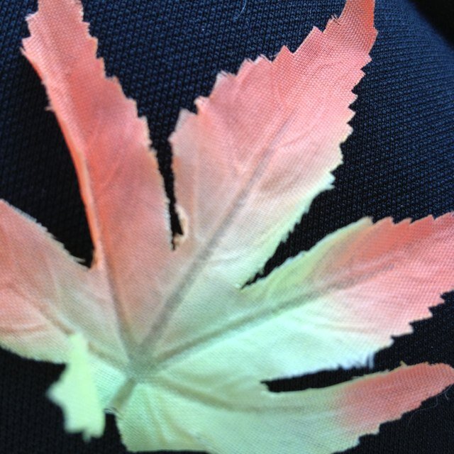 tamayan1's profile picture. とっくの昔に成人済み。趣味物色。アイナナ &お菓子作りが好き。ほぼ呟きません。