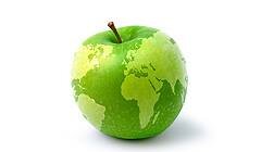 Agrotrabajoscl's profile picture. Punto de encuentro entre búsquedas y ofertas de trabajo en el área agroalimentaria y forestal.