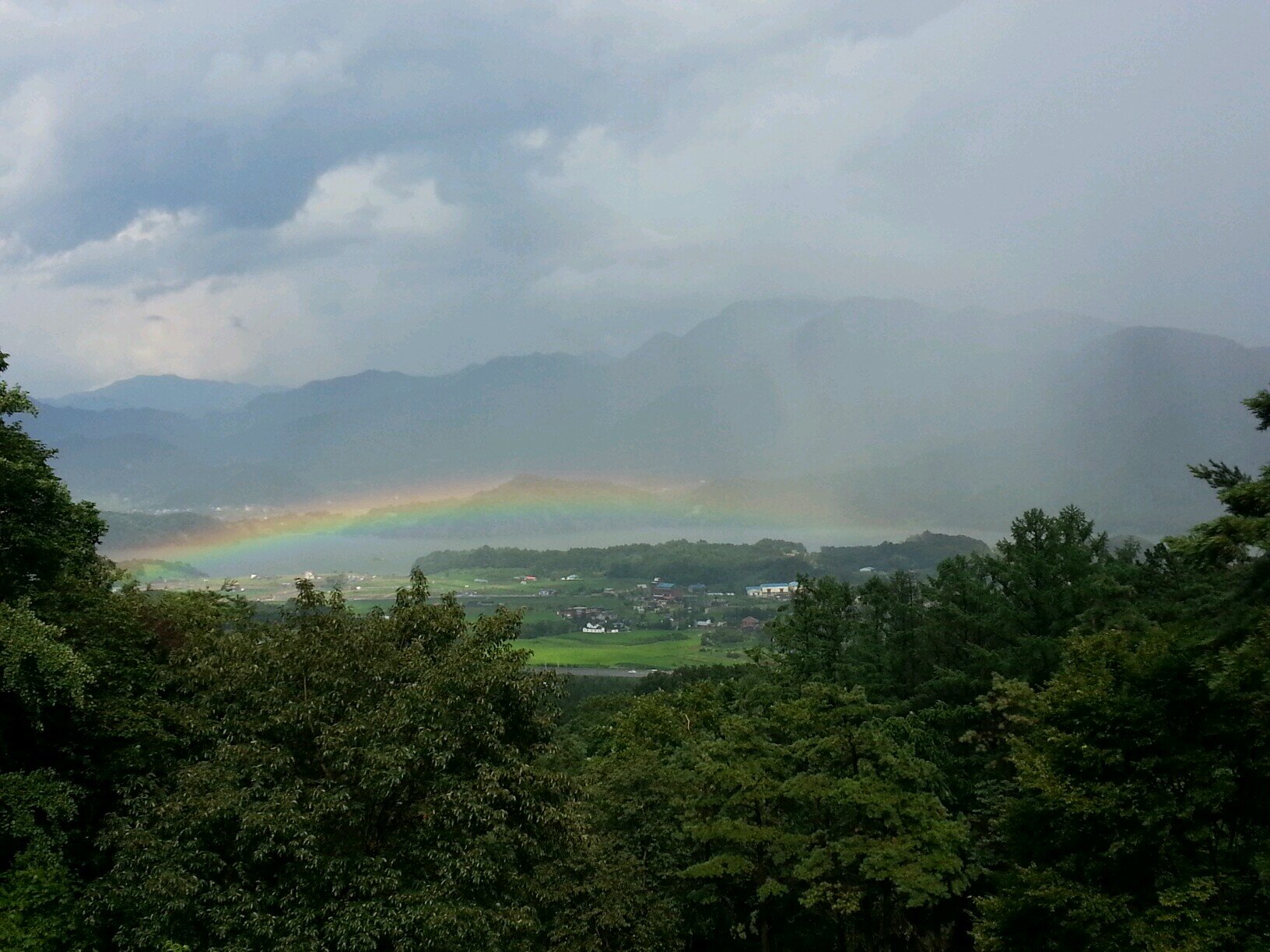 tlsaud101's profile picture. 