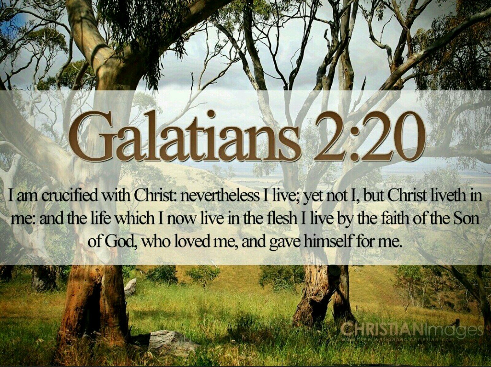 This is an account for people that are a new creation through Jesus Christ and are fully devoted to following Him. Galatians 2:20 & 2 Corinthians 5:17