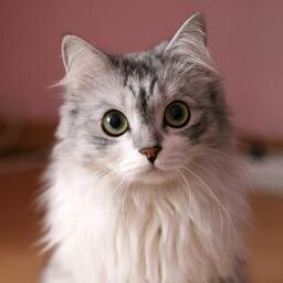 Все будет хорошо! 
#ВзаимныйФолловинг 
#ЧитаюВзаимно 
#rufollowback 
#followback 
#follow