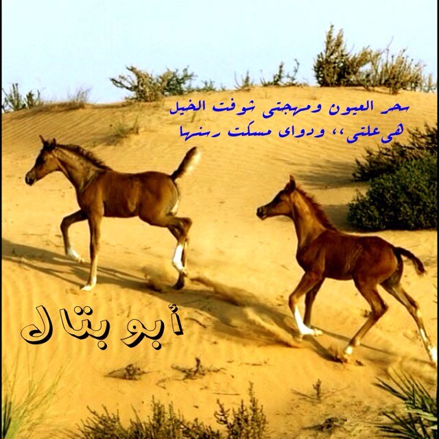 نكتب أو نقتبس..{22ofNov}