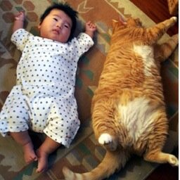 rcohen1978's profile picture. Pizza expert, loves the Wallabies, snuggles babies and cats!