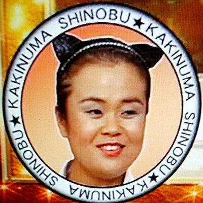 世界の柿ネコ Momoilojettasy Twitter