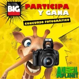 Big Cola te lleva a África, para que adoptes una jirafa, la conozcas y le pongas nombre. También grabarás un micro que Animal Planet transmitirá. ¡Participa!