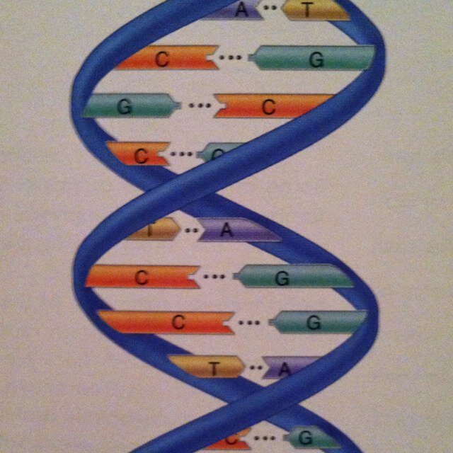 SISscience's profile picture. 