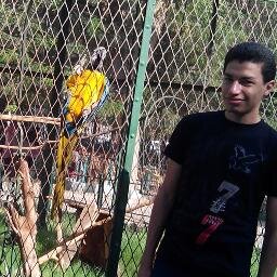 Ahmed_MSaleh's profile picture. 