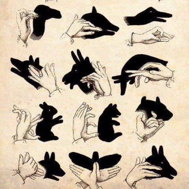 cecividal77's profile picture. 