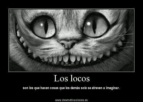 Sin comentarios!!