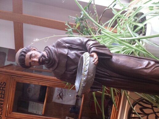 Saint Francis Profile