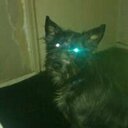 mark deane - @markdeane78 - Twitter