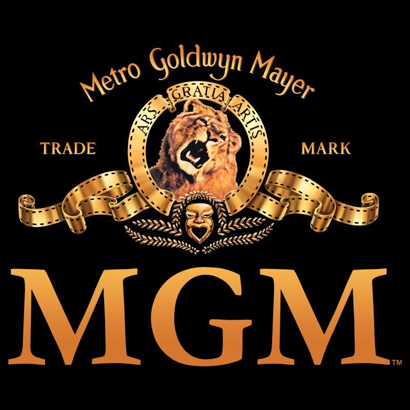 MGM_Movies's profile picture. MGM Movies
European Movies
American movies
Movies and documentaries
Arabic movies
Animation films