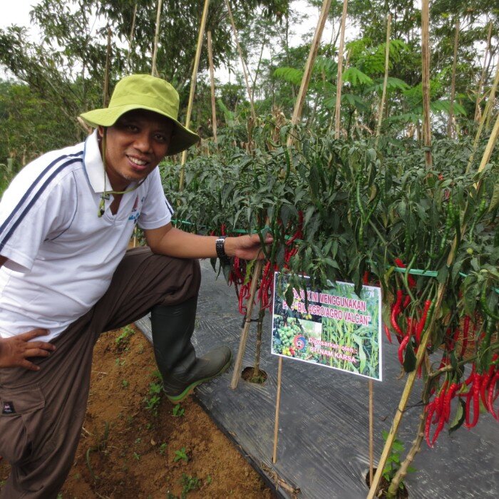 WinherisHeri's profile picture. Pupuk Organik Super Aktif