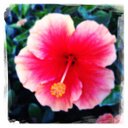 Lindsay Everett - @lindsayjeverett - Twitter