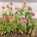 «ღ»صعب تفهمني «ღ» - @SandiStrong2 - Twitter