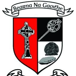 All the Hurling, Camogie, Handball and Football News from Windgap (Bearna na Gaoithe)