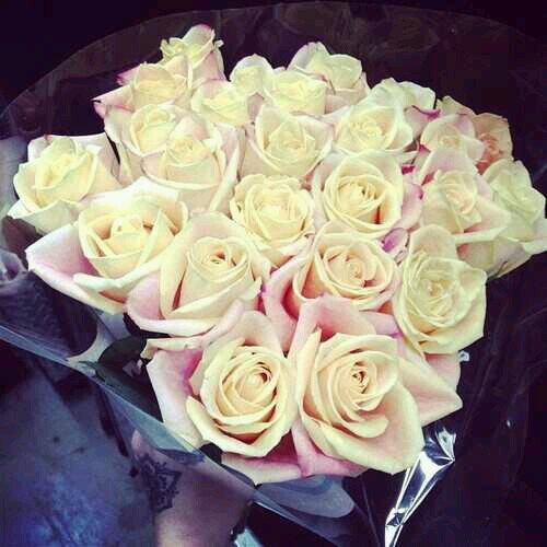 gjfttt19's profile picture. 