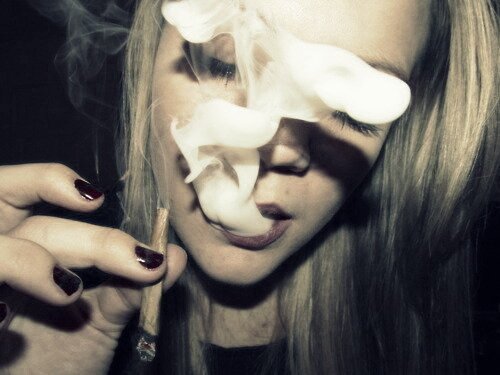 chicas_pardas's profile picture. Life is a bitch, so go and fuck it! #ZorritaQueen #BitchitaLob