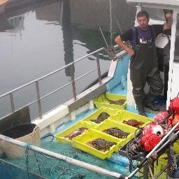 Pescador y Mariscador especializado en el marisqueo de percebes en La Costa Vasca.