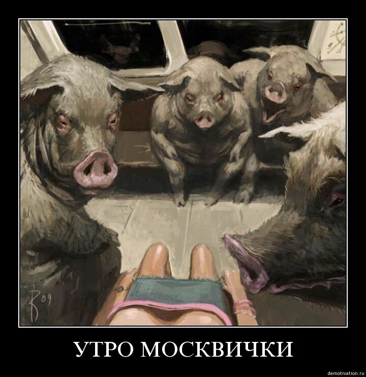 .ВЗАИМНЫЙ FOLLOW)