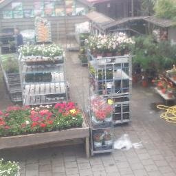 countrygarden0's profile picture. Bloemen en planten
http://t.co/Oqpi5fIjzt