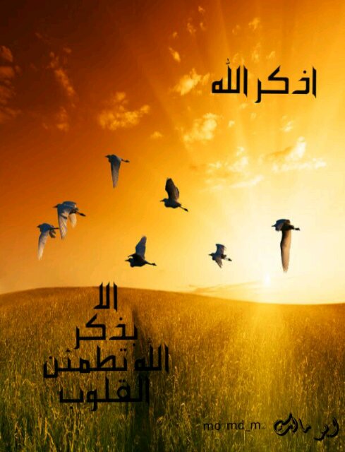محمد