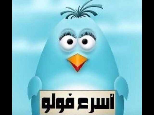 ضيفني اضيفك علا طول