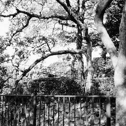 morookamitsuo's profile picture. art space tetra https://t.co/C4X9Jdq1Eg

音楽や映像が好きです。