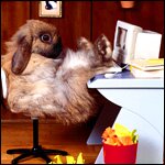 Вебместер - занимаюсь seo. Люблю футбол. Взаимный фоллофинг. #Взаимныйфолловинг