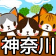 ネコジルシ里親募集《神奈川》さんのプロフィール画像
