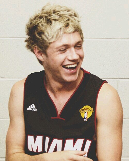 I'm Niall From 1D private twitter xx http://t.co/4OjexjeQVm My official twitter is @NiallOfficial xx love you my Directioners