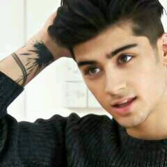 Boylovatic and boydirectioner