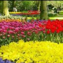 بك استغيث (@5956Oloo) Twitter