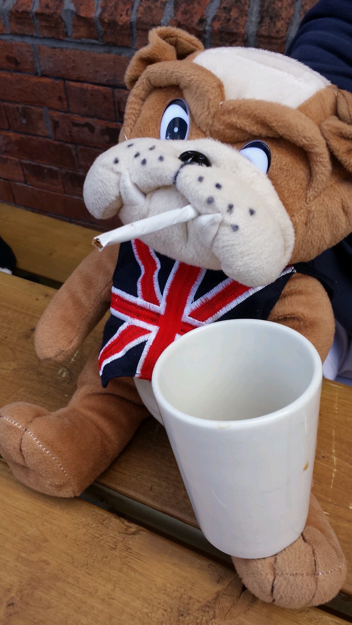bulldog_bully's profile picture. Mascot for GB Bulldogs. MIA