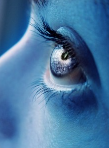 Bevjane11's profile picture. 