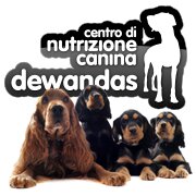 Tutto intorno ai nostri quattro zampe