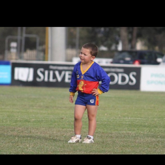 ObryanShelly's profile picture. 