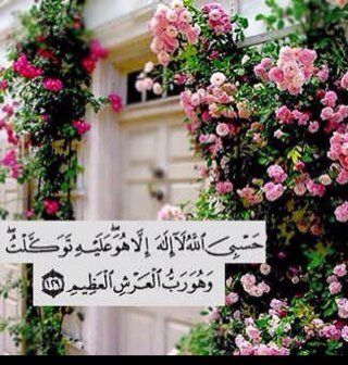 تبي تسوي لي فولو باك ؟ سولي هنا يالبا  @Ohuodfaisal1