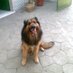 felipe (@tristan2222222) Twitter profile photo