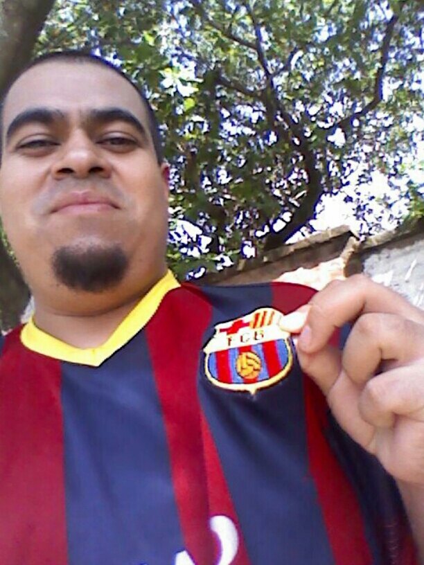 licensiado en sonido sistemas y redes