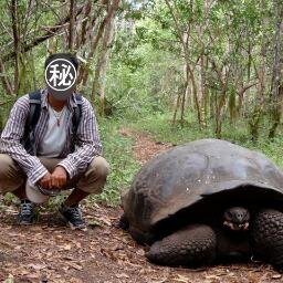 沖縄を中心に、鹿児島、ガラパゴス、ウユニ塩湖、トンガ、フィジー、バヌアツ、ニューカレドニア、オーストラリア、ミクロネシア、インドネシア、フィリピン、パラオ、モルディブの島旅についての日記などを不定期に更新しています。最近は、沖縄の伝統芸能や行事（琉球舞踊、組踊、獅子舞、エイサー、豊年祭など）に興味を持ち始めました。