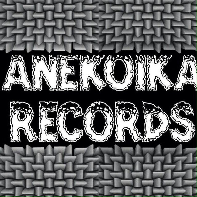 AnekoikaRecords's profile picture. Pasado, presente y futuro de la musica electronica en España